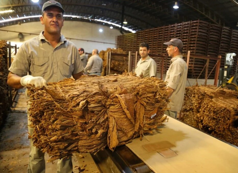 WhatsApp Image 2026 02 14 at 10.54.07