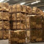 “Si la industria paga miseria, quiebra el tabaco: el 27 se define quién sostiene la cadena”