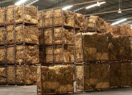 WhatsApp Image 2026 02 16 at 20.55.58